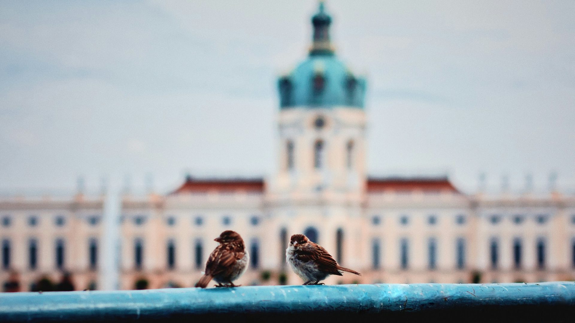 Handy Reparatur in Charlottenburg
